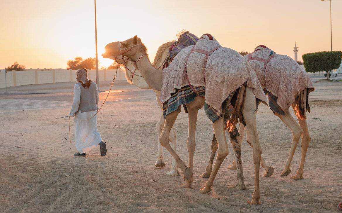 بلدية الشيحانية