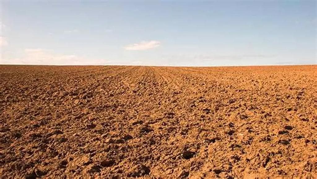أرض سكنية للبيع في الوكير