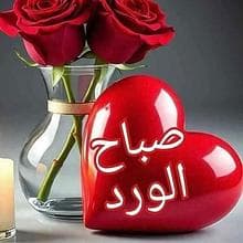 سيد 