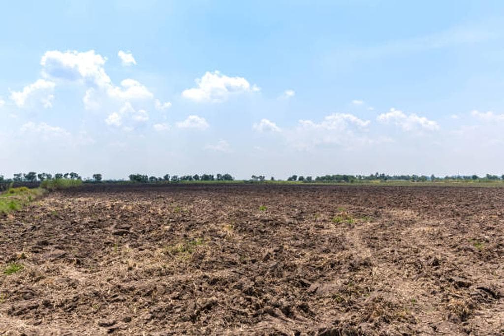 Residential Land for Sale in Al Thumama