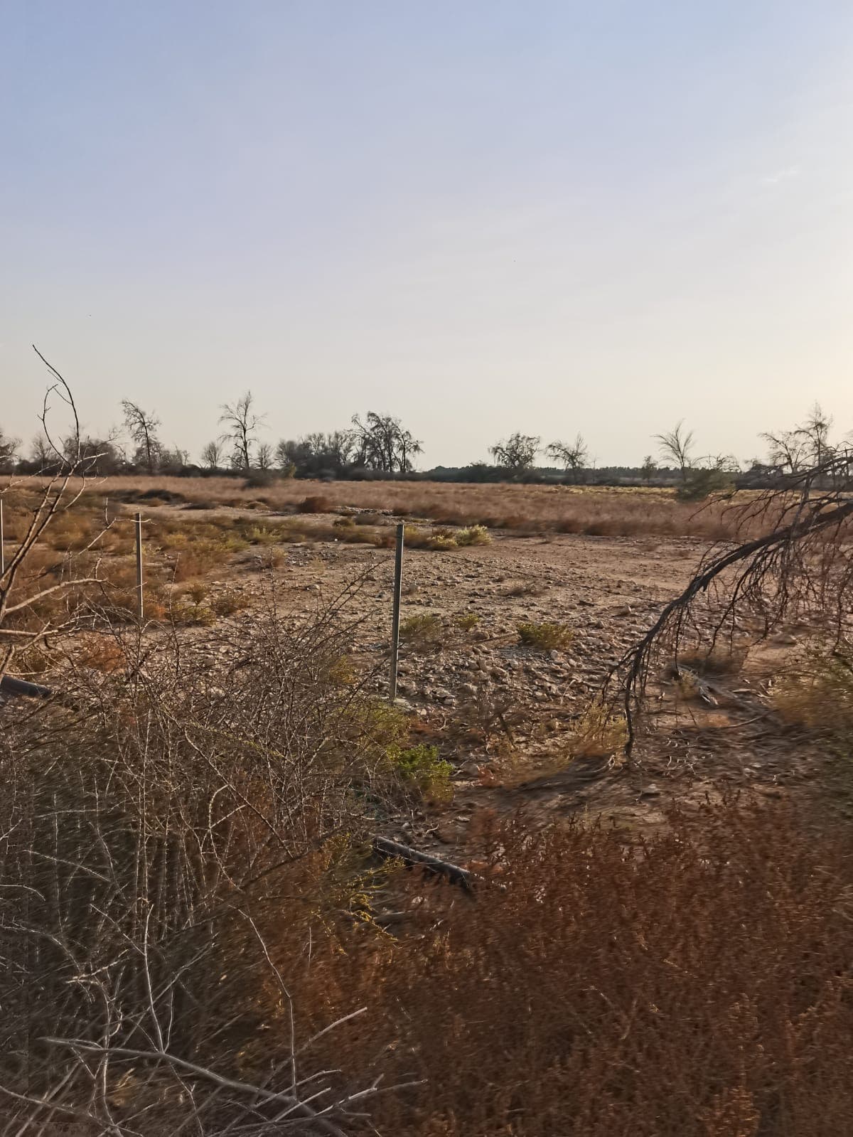 Residential Building for Sale in Al Mansoura