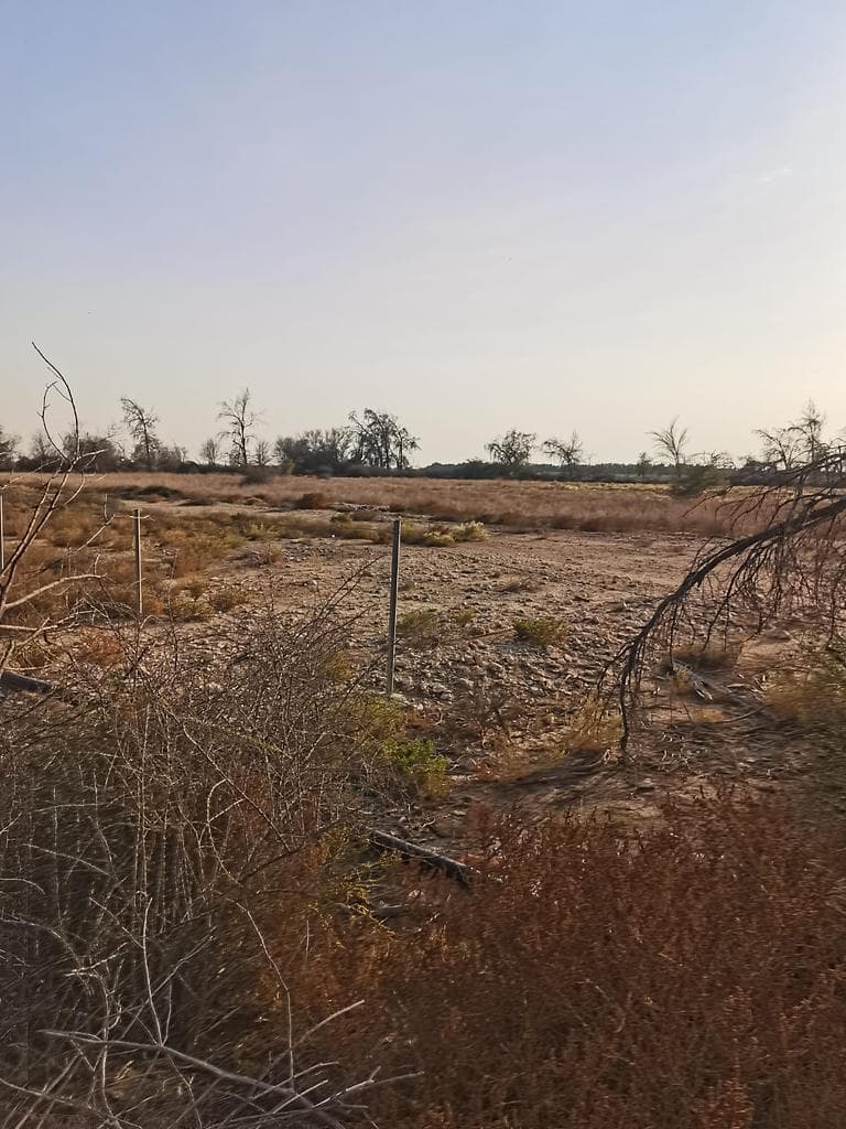 Residential Building for Sale in Al Mansoura